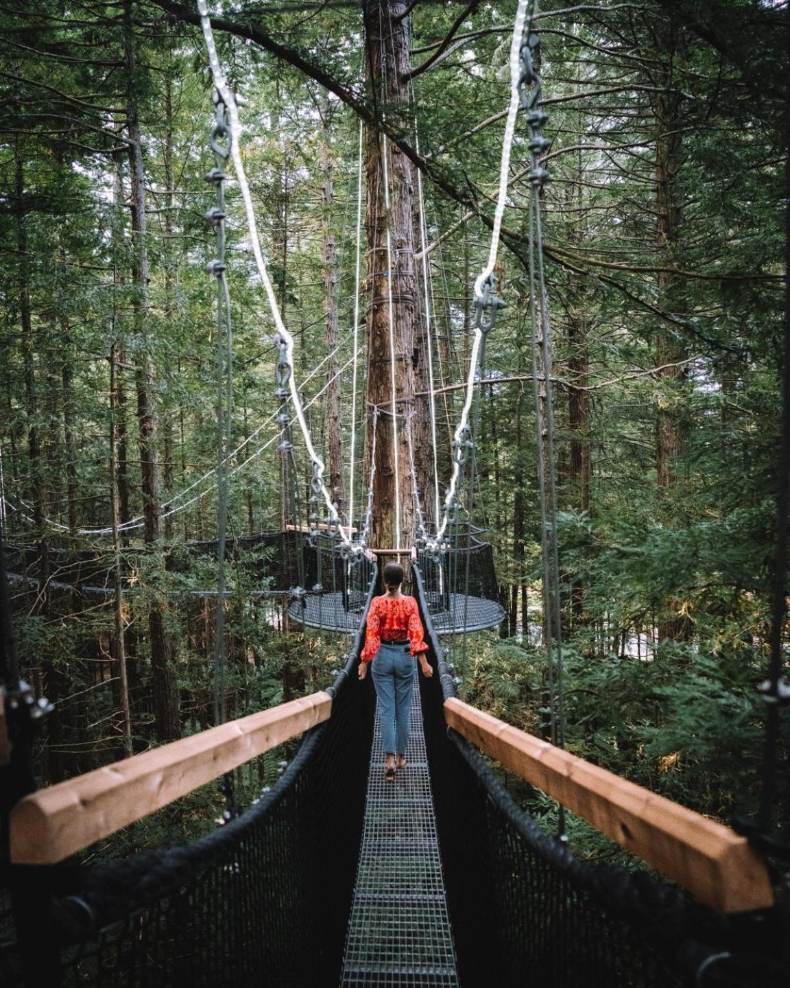 Matamata Lodge Kültér fotó
